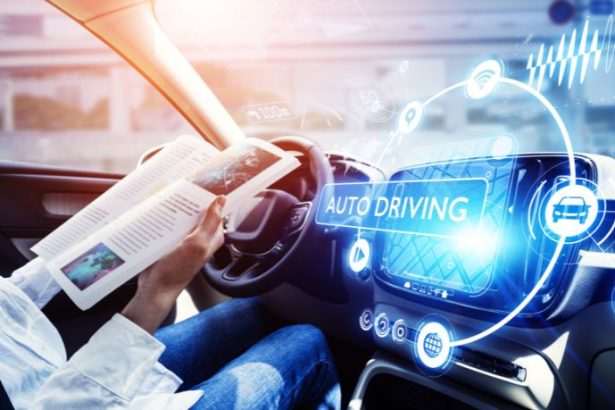 Lucio Fernandes Winck