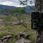 Tecnologia Bioacústica e a Conservação da Biodiversidade na Serra do Amolar