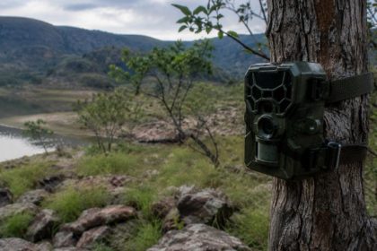 Tecnologia Bioacústica e a Conservação da Biodiversidade na Serra do Amolar
