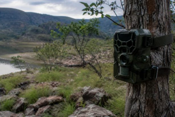 Tecnologia Bioacústica e a Conservação da Biodiversidade na Serra do Amolar