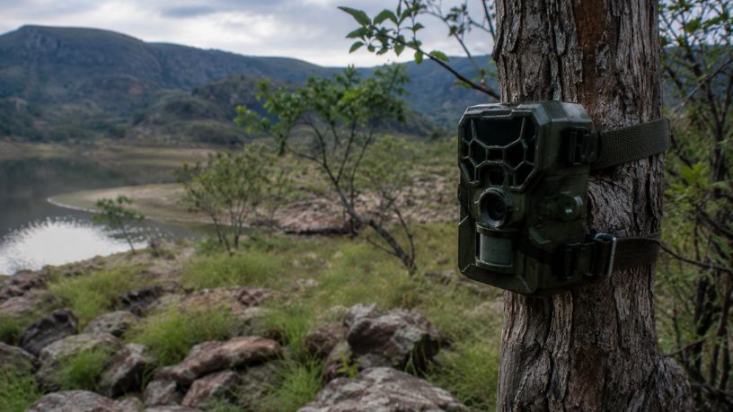 Tecnologia Bioacústica e a Conservação da Biodiversidade na Serra do Amolar
